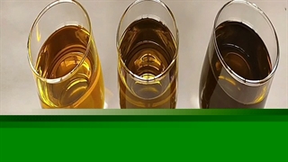 تشخیص خالص بودن روغن زیتون از روی رنگ امکان پذیر هست؟