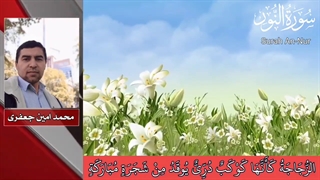 تلاوت زیبای قرآن کریم # قاری جعفری