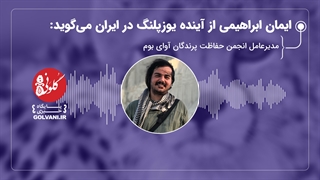 ایمان ابراهیمی از آینده یوزپلنگ در ایران می‌گوید