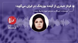 فرناز حیدری از آینده یوزپلنگ در ایران می‌گوید