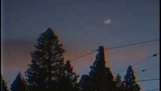 عا راستی حرف اسلی(زهرا) ب بچ های نما