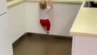 اخی چه گوگولی میره بالا