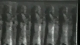 The Old And Interesting Clip From Persepolis | کلیپ قدیمی و جالب از پرسپولیس