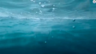 ChanBaek MIX - (No Liar No Bad guy - Chanyeol & Baekhyun  (FMV