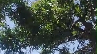 بهار 1400 اسلامیه