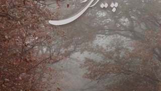 آهنگ چیزی نخواست علیرضا افکاری - کلیک کنید