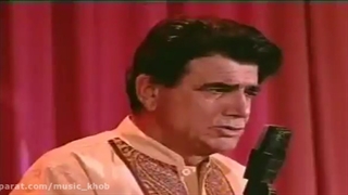 آهنگ دوش دوش همایون شجریان و محمدرضا شجریان