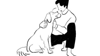 کاور کالیمبای دتس اوکی :)