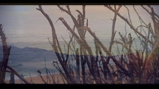 آهنگ زیبای « تنهام نذار » از نوید هادیان