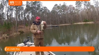 ماهیگیری - تعقیب خارماهی پیش از تخم ریزی