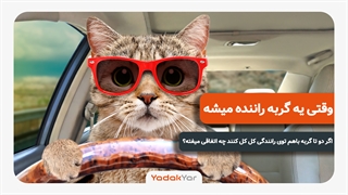 کل کل بامزه گربه ها تو رانندگی!