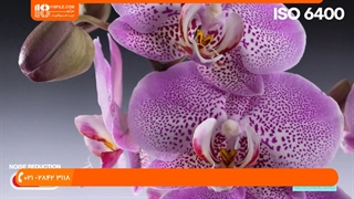 عکاسی - تنظیمات  مناسب دوربین شما