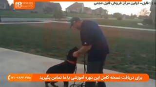 تربیت سگ - گلوبند