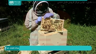 آموزش زنبورداری به صورت گام به گام
