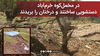 در مخمل‌کوه خرم‌آباد دستشویی ساختند و درختان را بریدند