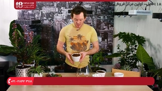 آموزش ساخت انواع تراریوم | د شیشې باغ جوړول - درست کردن تراریوم ساکولنت