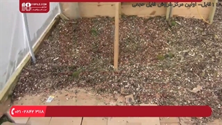 چگونه گلخانه جمع و جور در باغ منزل بسازیم ؟