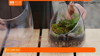 چگونه تراریوم بسازیم ؟ | بستر مناسب برای گیاه تراریوم