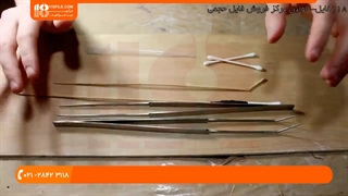 بروز رسانی تراریوم خزه پس از 6 ماه و کشتی خزه در بطری پس از 16 ماه