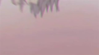 •Tomoe & Nanami• ( ادیت)