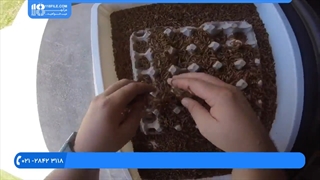 پرورش میل ورم - نکاتی برای تمیزکردن و جداسازی میل ورم