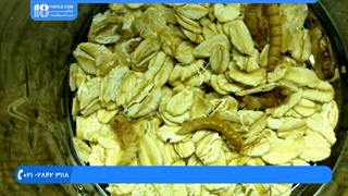 پرورش میل ورم - تبدیل شفیره میل ورم به سوسک