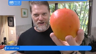 طرز تهیه شیک موز و انبه به روش کافی شاپ ها