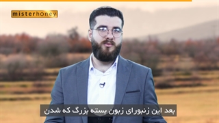 می دونستید ملکه زنبور عسل، اول به آینده بچه هاش فکر می کنه بعد اونا رو بدنیا میاره؟