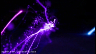 ایرواشر سالن قارچ