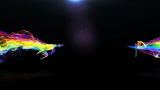 لوگو موشن پرواز پرندگان Flying Birds