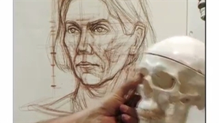 طراحی آناتومیک - پرتره