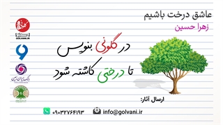 عاشق درخت باشیم