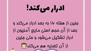 فیلم کارهای عجیب جنین در شکم مادر