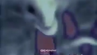 دنبال بشه لطفا