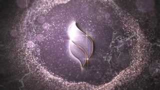 پروژه آماده افترافکت لوگو موشن لوکس و زیبا