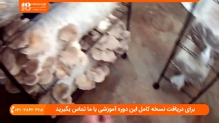 آموزش نصب سیستم گرمایش در پرورش قارچ خانگی