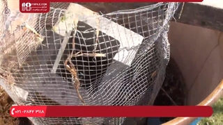 آموزش 7 روش پرورش انواع قارچ در منزل