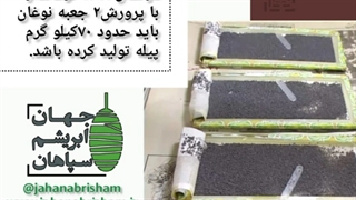 ابریشم کشی صنعتی خانگی