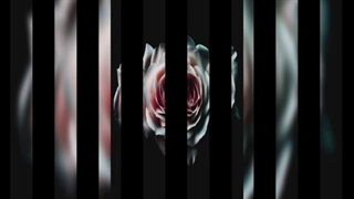 دمو از پلی بک معشوقه فرزین