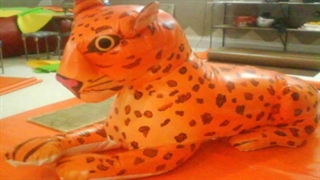 #الغرفة (11)  #الحدائق_المنزلیة #سهلة_النقل #التخزین 00989127484573