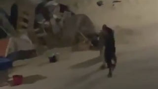 اینجا امریکاست