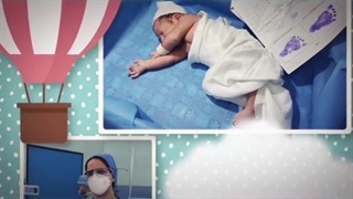 تولد شاهان کوچولو