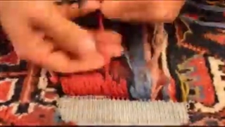 قالیشویی معتبر