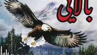 عجب  مهم نیست  که اون بالام