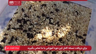 پرورش کرم کیل ورم // غربال کامل کرم ها