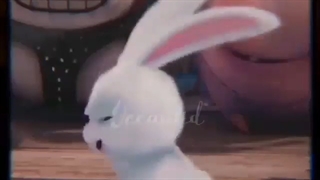 جونگکوک یه خرگوش کیوته :)