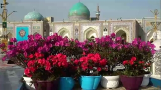 گل آرایی آستان قدس رضوی