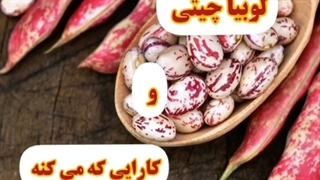 لوبیا چیتی و خواص بی نظیر آن