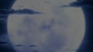 تیزر دبیو گروه  White monthsکمپانی jyn