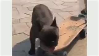 یک ملیون بازدید داشت عالیه:)